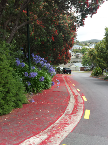 Orewa - Roberta Crescent - Next to our Place